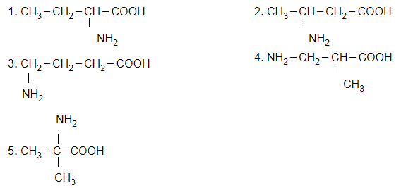 C4H9NO2 có bao nhiêu amino axit đồng phân cấu tạo của nhau?