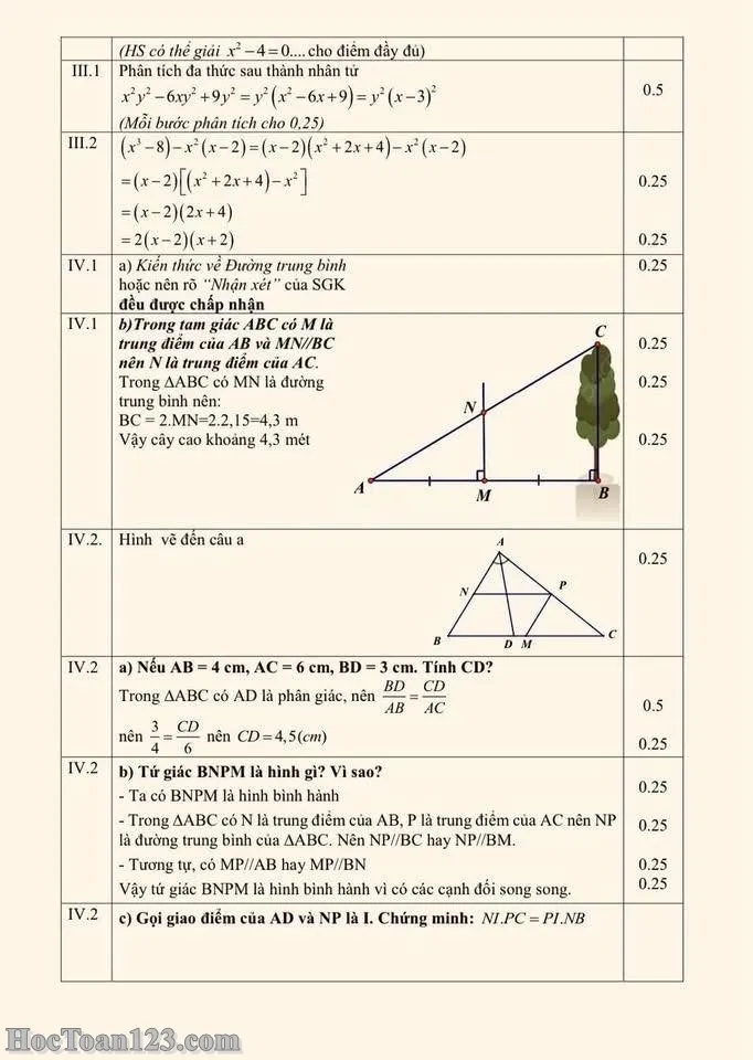 Đề kiểm tra HK1 Toán 8 THCS Phan Chu Trinh 2024-2025 có đáp án