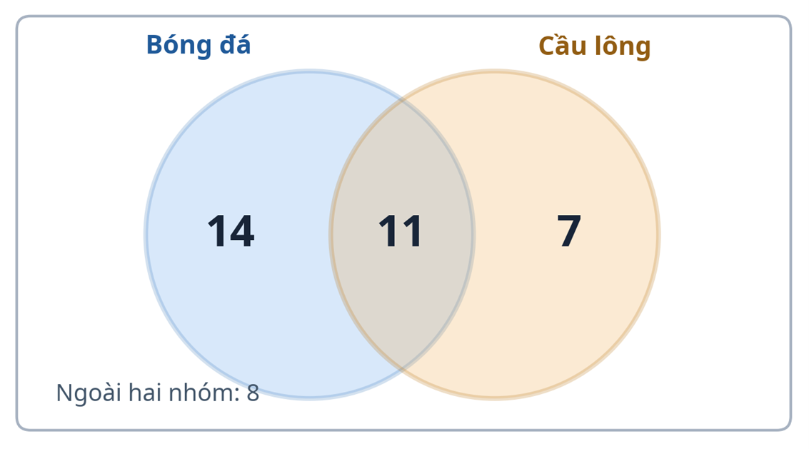 Sơ đồ Ven (Venn): Cách giải toán 2 và 3 nhóm dễ hiểu cho học sinh lớp 5