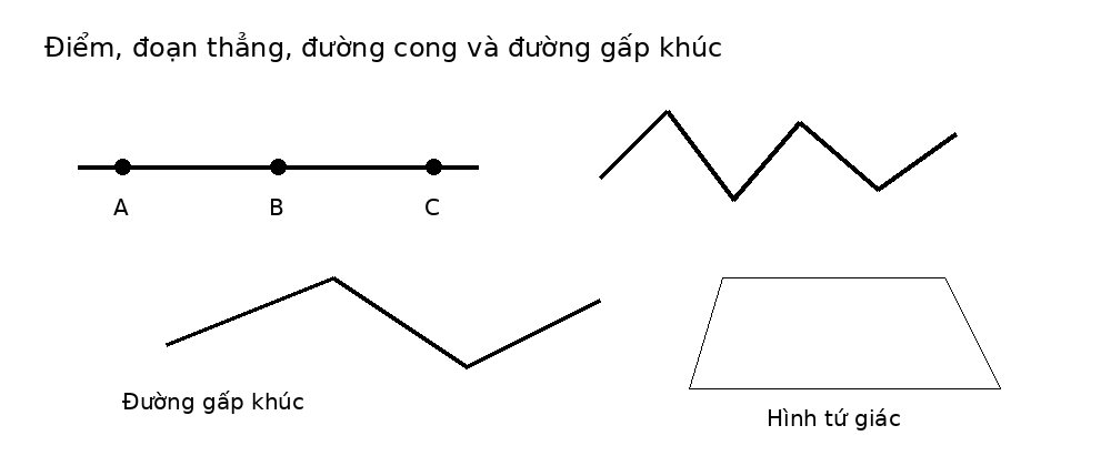 Minh họa ba điểm thẳng hàng, đường cong, đường gấp khúc và hình tứ giác