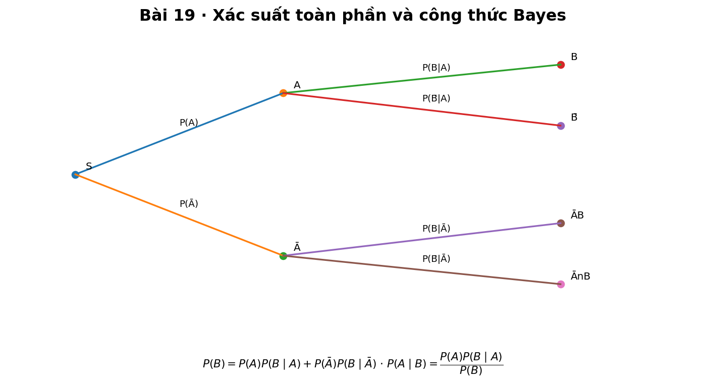 Sơ đồ cây xác suất minh họa công thức xác suất toàn phần và Bayes