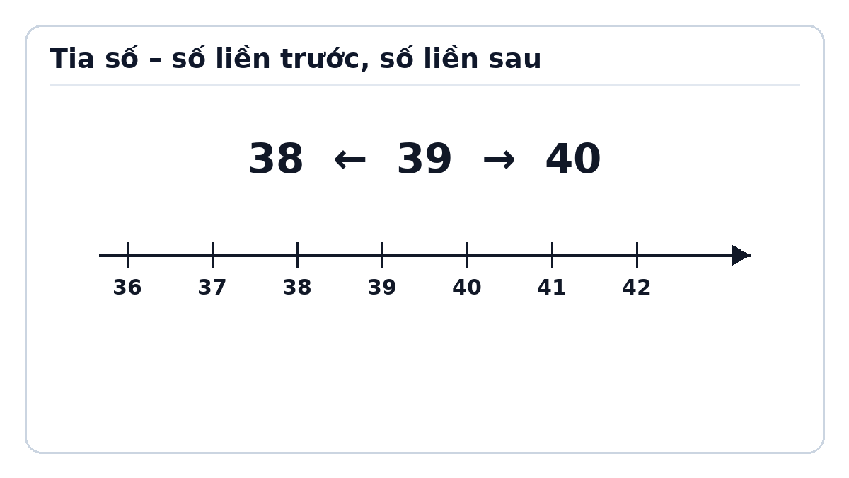 Minh họa Tia số. Số liền trước, số liền sau – Toán lớp 2 Kết nối tri thức