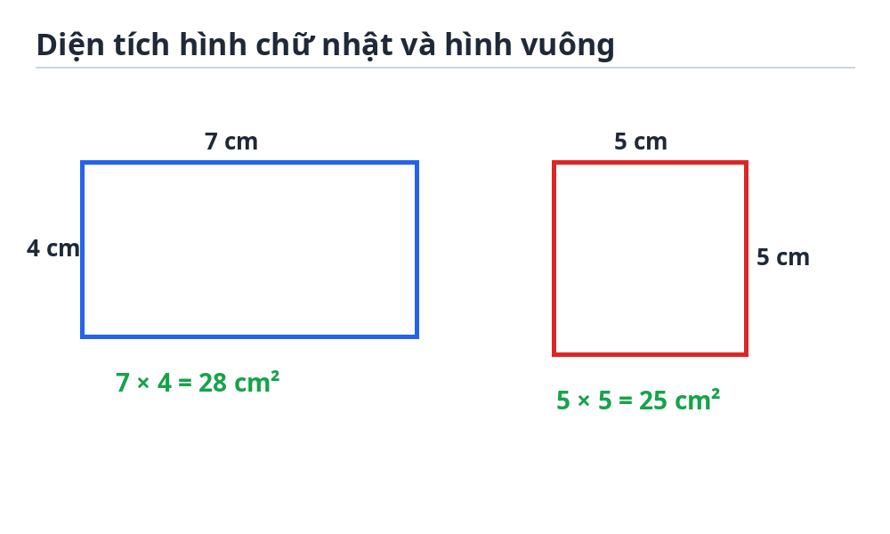 Diện tích hình chữ nhật và hình vuông