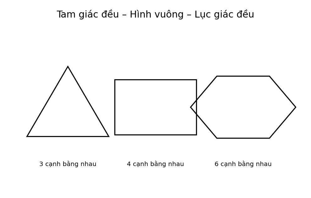Minh họa Hình tam giác đều. Hình vuông. Hình lục giác đều – Toán lớp 6 KNTT