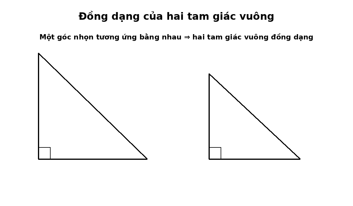 Hai tam giác vuông đồng dạng khi có một góc nhọn tương ứng bằng nhau