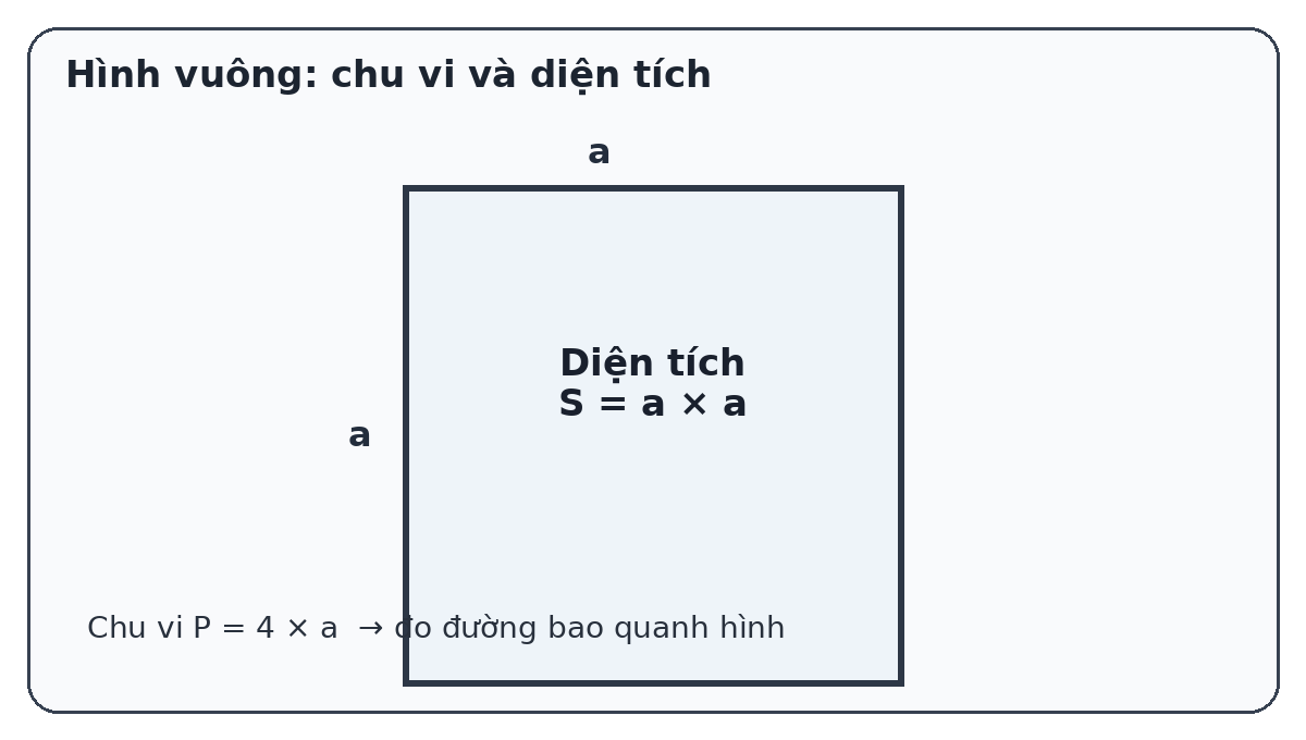 Hình vuông minh họa cạnh, chu vi và diện tích